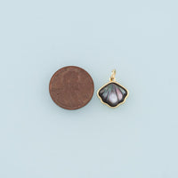 Pearl Shell Charm