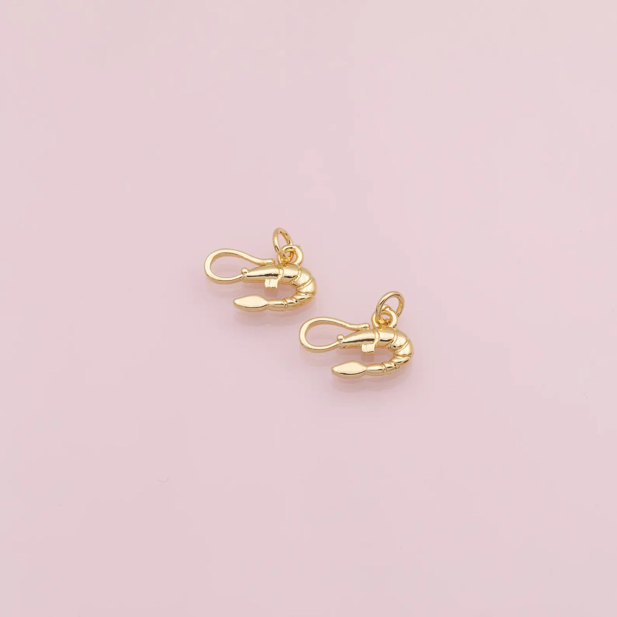 Prawn Charm